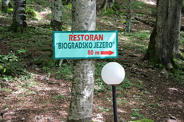 048-Биоградска гора